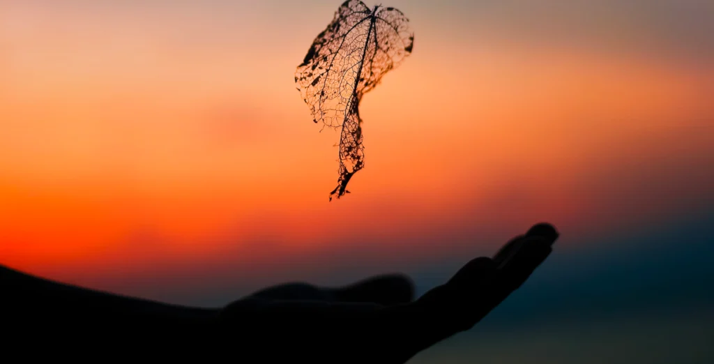 Turningpoint podcast: Leading with Vulnerability